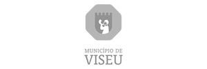 MunicipioViseu c